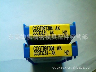 CCGT09T304-AK¶