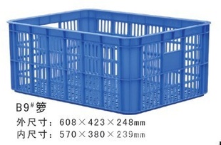 תˮᡢתᡢͻ