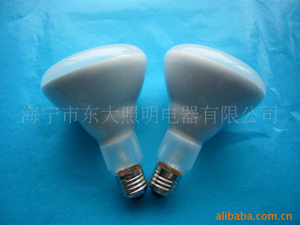 BR30120V65W