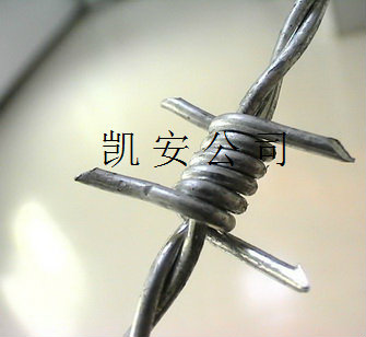 ˿޼޼Ƭ