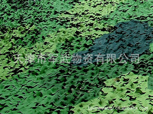 ṩ*ƷƷαװƵƴҶ״α
