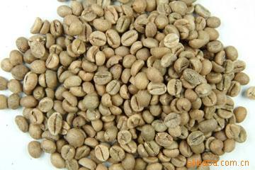 ̹ɣ޲˹15/Robusta15ȶ