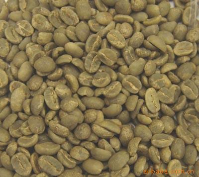 ӡɼӿArabica
