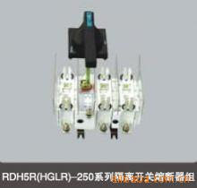 ؼRDH5R(GLR)-2504J뿪