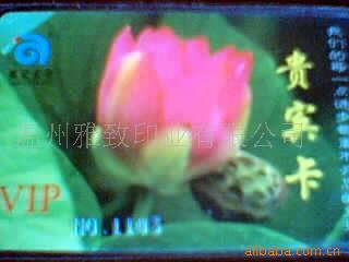 pvcĤ̱Ա..鿨ӡˢ(ͼ)