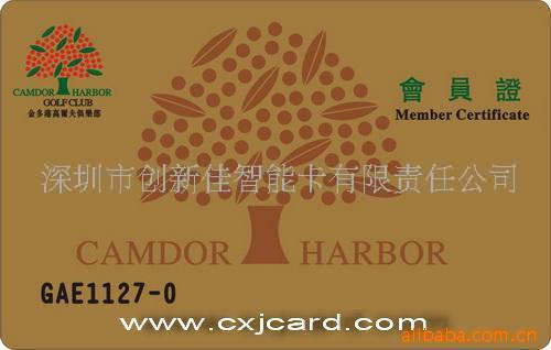 印制高档会员卡厂家,价格实惠,质量保(图)