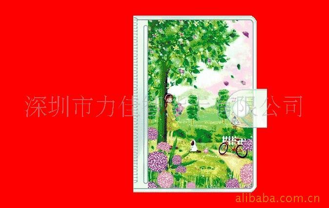 加工3D卡,立体3D卡,直接生产厂家(图)