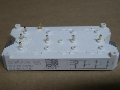 SKM150GB123DſIGBT
