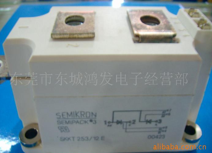 SKKT253/12Eſģ