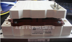 ſģSKIIP1013GB172-2DL