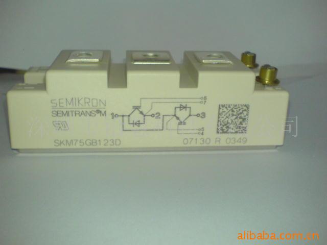 SKM75GB123DſIGBTģ