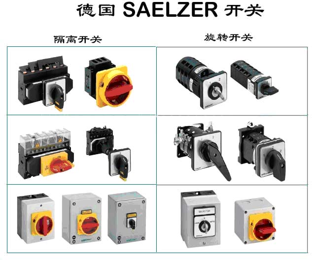 ԭֱ¹saelzer