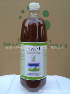 EMʹٽEMʹ