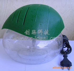 ݸؼСڿ