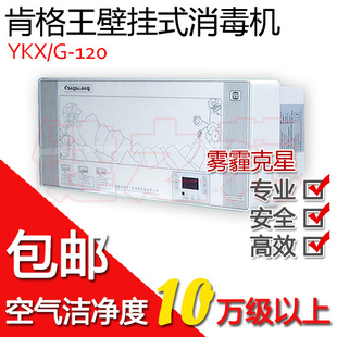 YKX/G-120ϸڹʽȩ*PM2.5