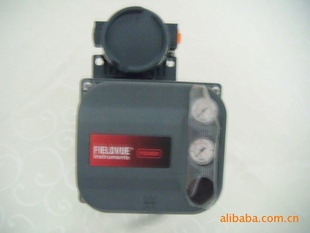 ϣFISHERDVC6020
