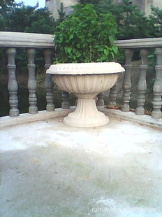 ŻGRCСƷ