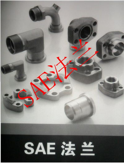 ֻSAESAEJ518C