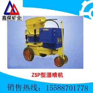 ZSPʪ
