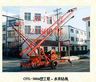 CYTL-300Aˮ