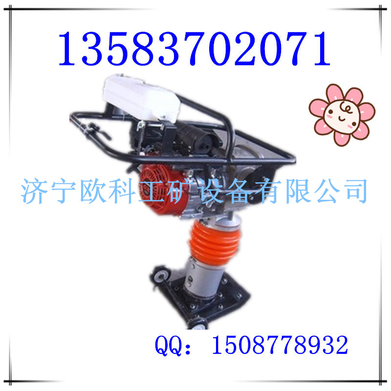 綯綯