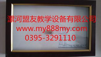 干制标本-图为灰马蜗牛