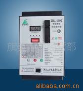 ZSLL1-250Q©籣