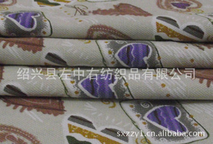 ȫ޿沼