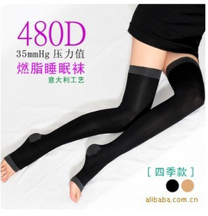480D/˯Ͳ೤Ͳ