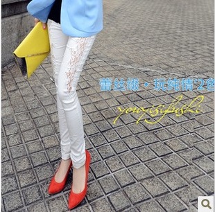 2013紿˿ݰٴСſпѳ(Ƥ)