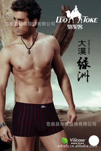 2012ڿĪʿƽڿ