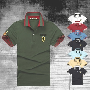 2013¿óнӹⶩʽԱtļpolo