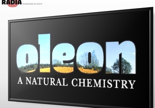 ŷLOLEONֲԴ֬(IPP)