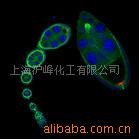 HEC-1-B(ӹĤٰϸ)