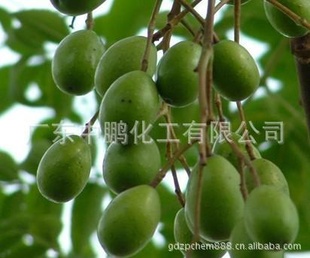 лӡNeemnutsoil