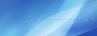 WAGLINOL412PEG-9¹