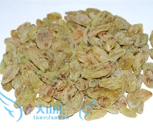 ½³زش󱱼Ѹ500g