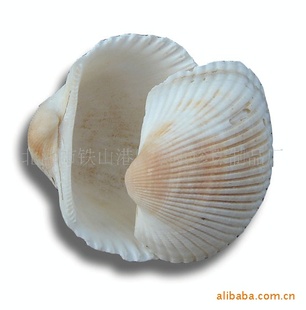 ݱǡƯױǣǹնͣ