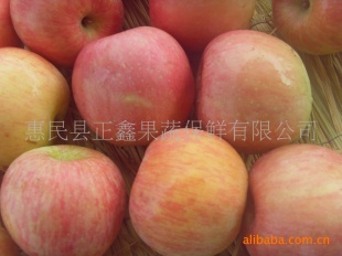 ڼ崨ѡ츻ʿƻ