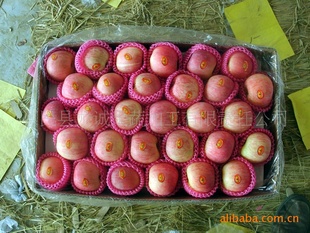 츻ʿƻƻ츻ʿ(ͼ)