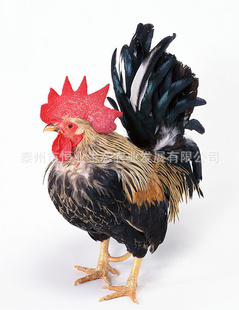 ݼѼӭѡ