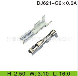 2.0ϵжDJ621-G2X0.6A