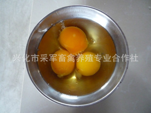 Ҵʲݼӭѡֱ