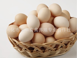 ҸӪʻӭѡ