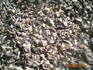 ʼӹ20KG/