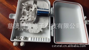 (FTTH˵Ϫ12оϷ