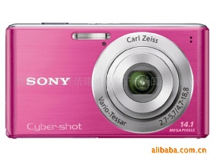 1410عSONYDSC-W530