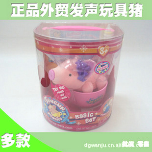óteacuppiggiesС豭࿨ͨż