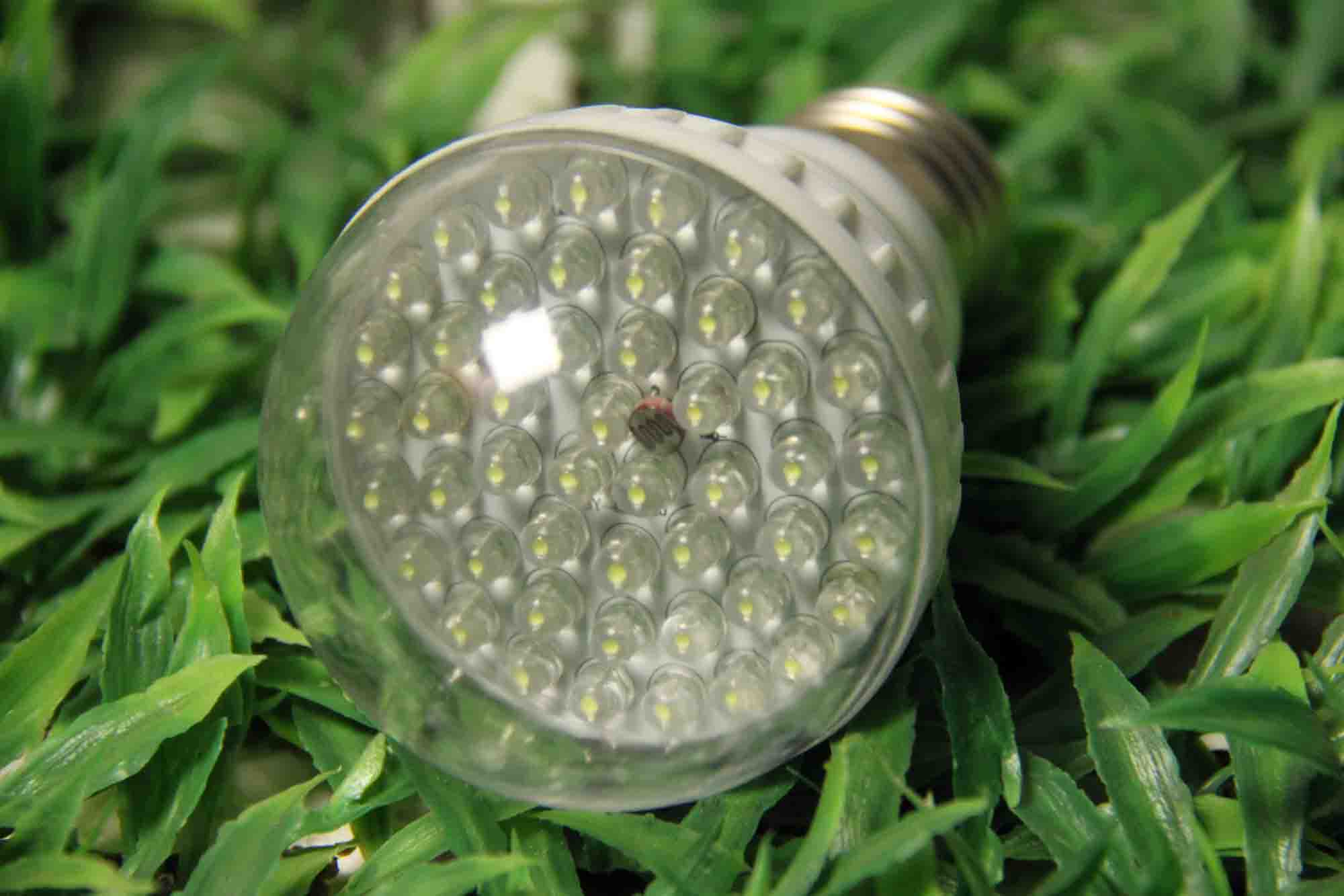 ͨLED