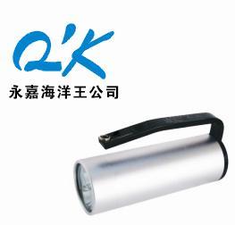 RJW7101/LTRJW7101/LT̽